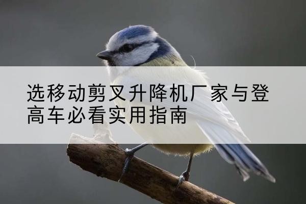 常熟电动升降机厂家-选移动剪叉升降机厂家与登高车必看实用指南