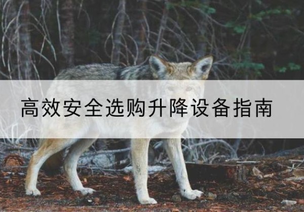 常熟升降货梯厂家推荐-*安全选购升降设备指南